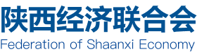 陕西经济联合会